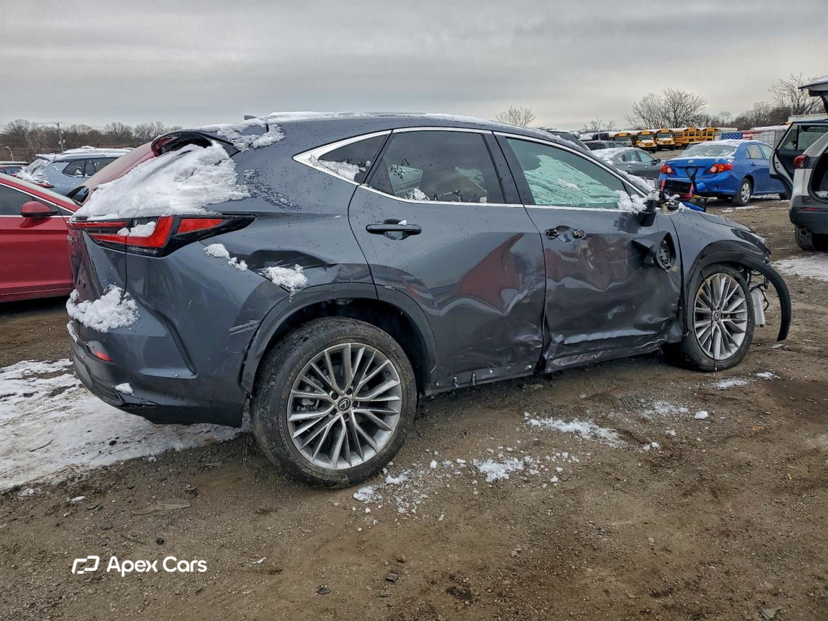 Lexus NX 2024