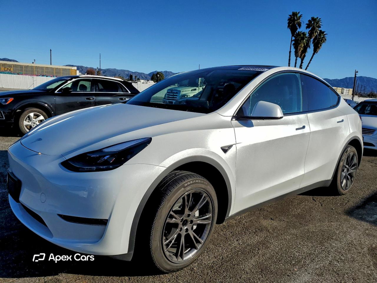 Tesla Model Y 2025
