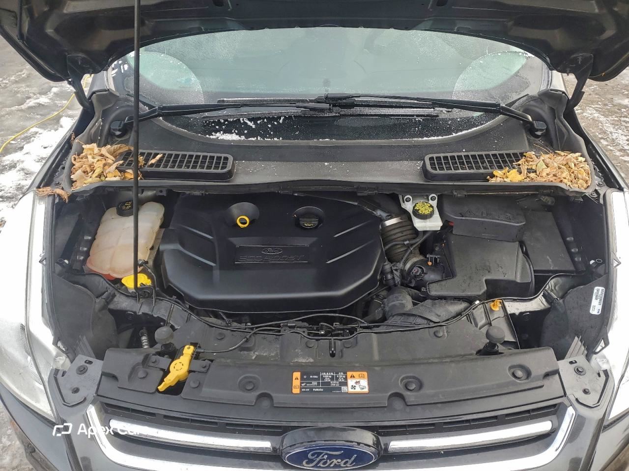 Ford Escape 2016