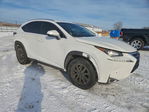 Lexus NX 2015