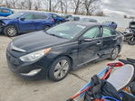 Hyundai Sonata 2013