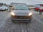 Ford Escape 2020