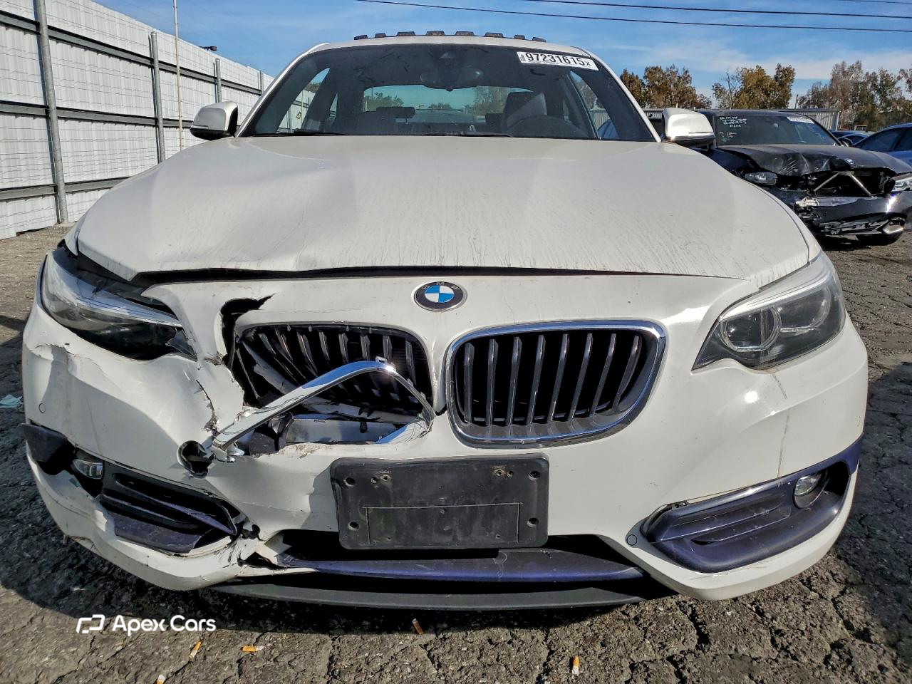 BMW Series 2 2019