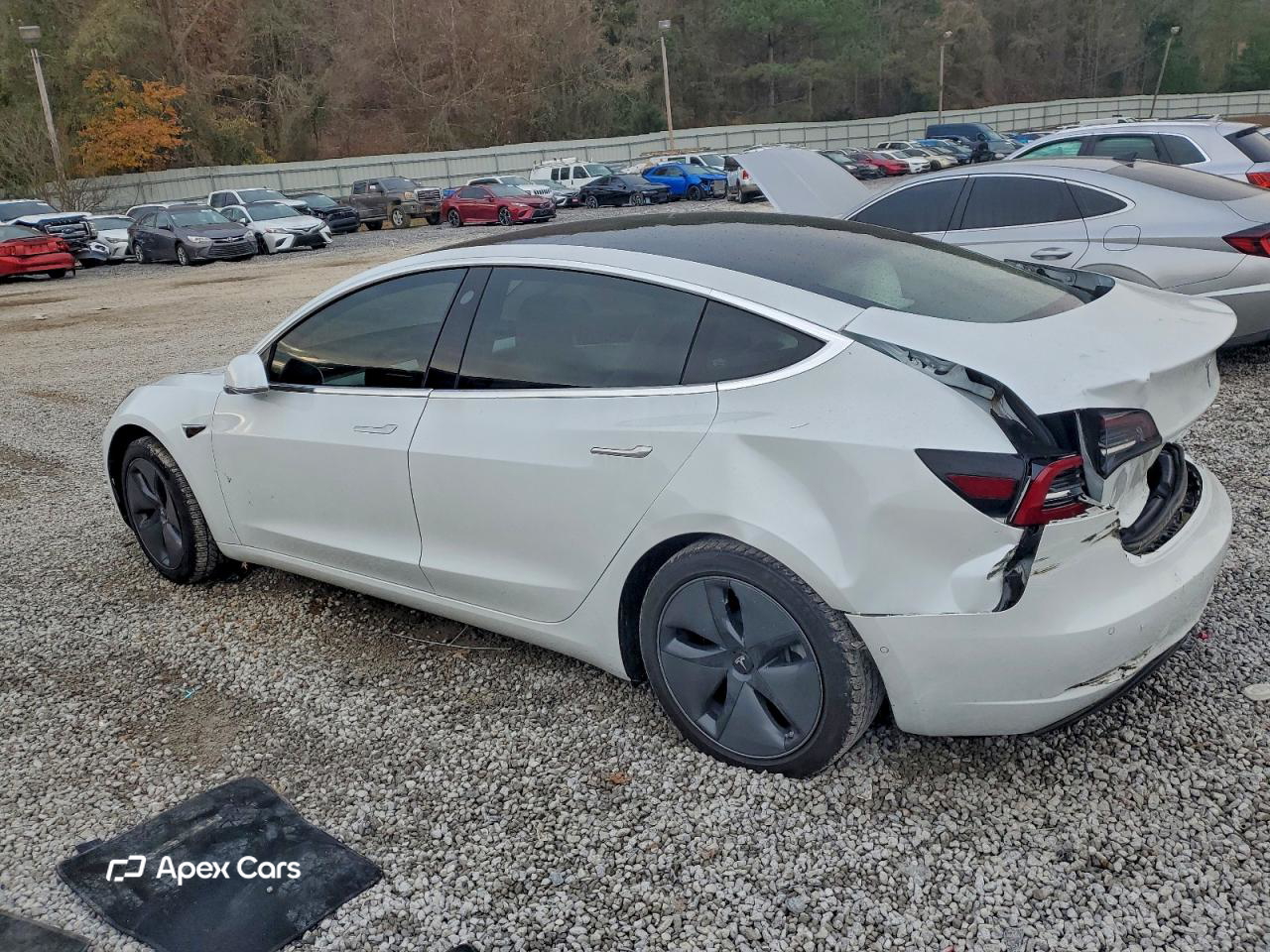Tesla Model 3 2020