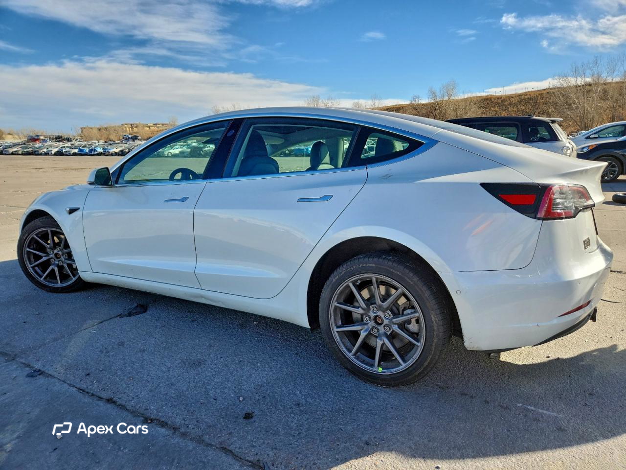 Tesla Model 3 2019