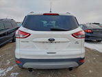 Ford Escape 2015