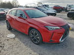 Lexus UX 2022