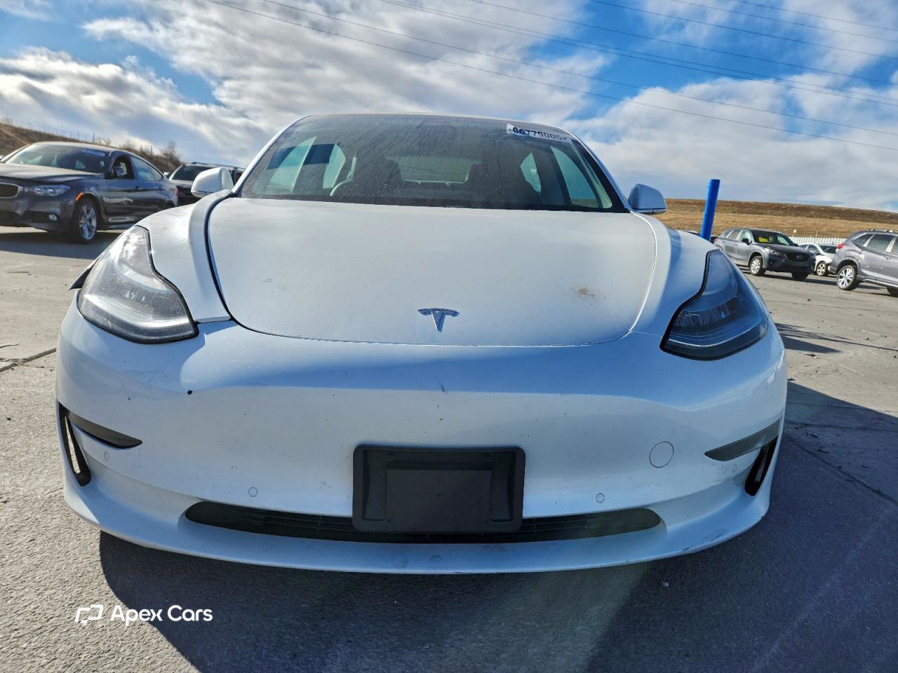 Tesla Model 3 2019