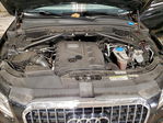 Audi Q5 2017