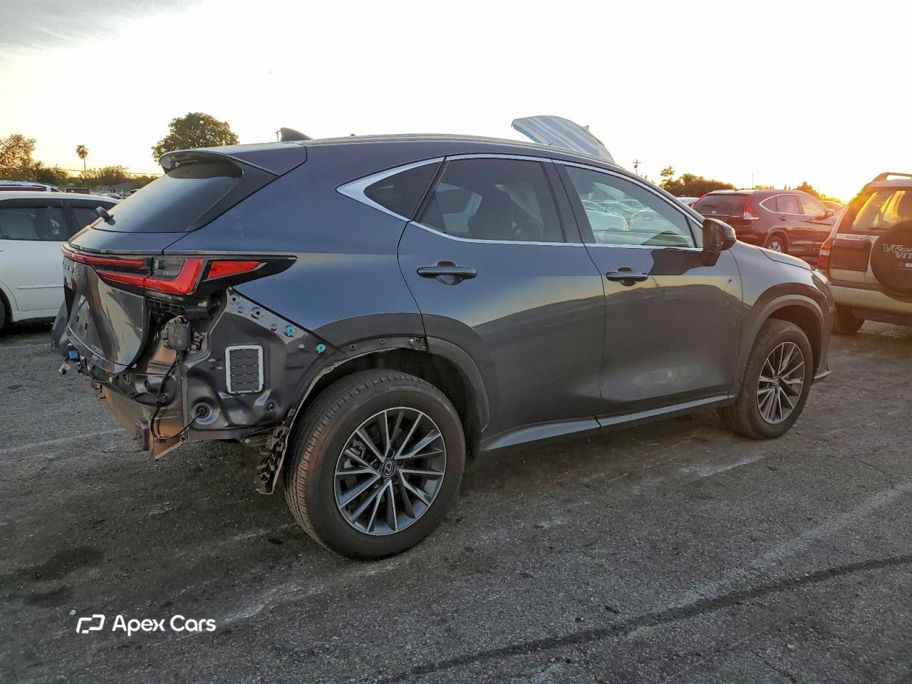 Lexus NX 2024