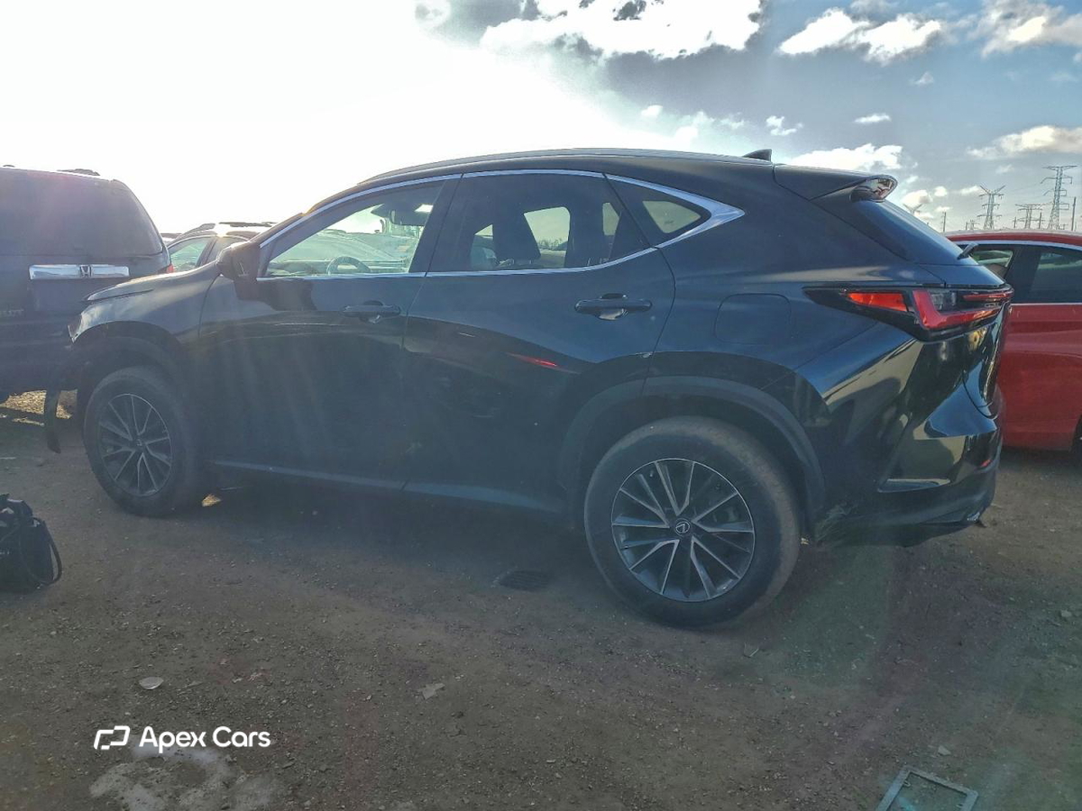 Lexus NX 2022