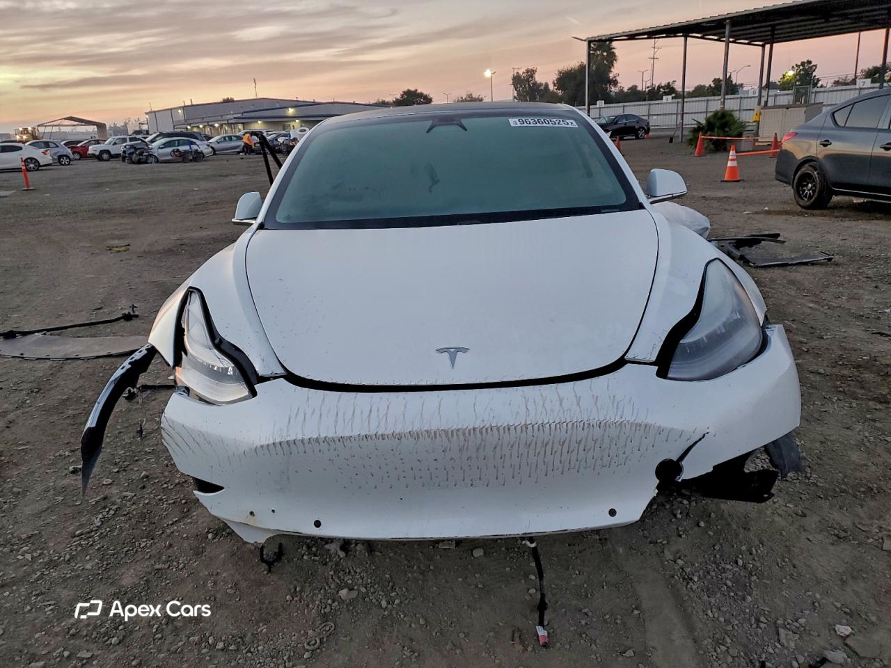 Tesla Model 3 2019