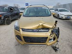 Ford Escape 2015