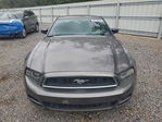 Ford Mustang 2014