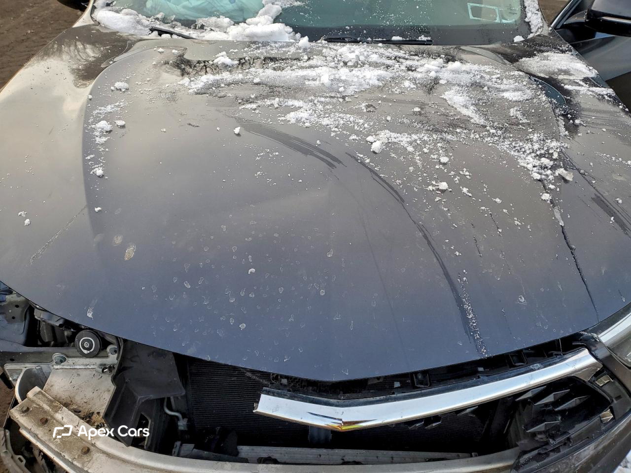 Acura RDX 2019