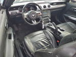 Ford Mustang 2017