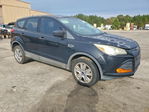 Ford Escape 2013