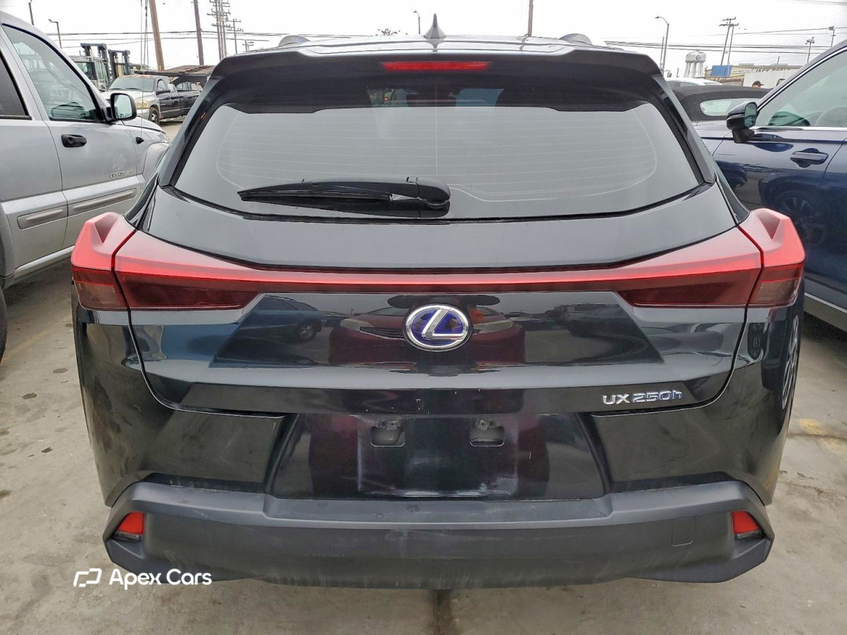 Lexus UX 2019