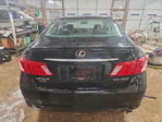 Lexus ES 2008