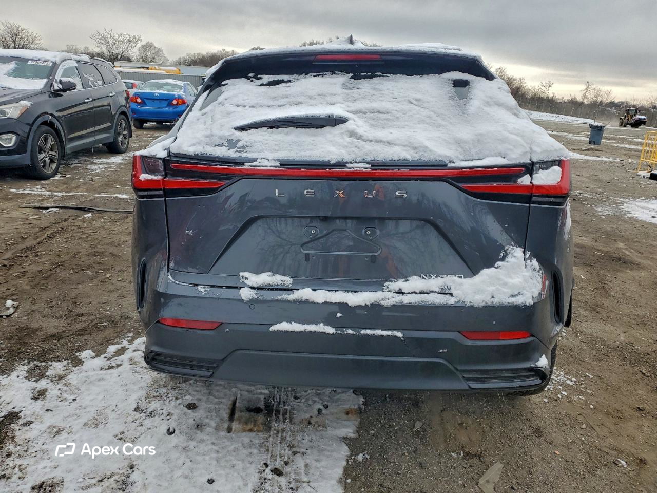 Lexus NX 2024