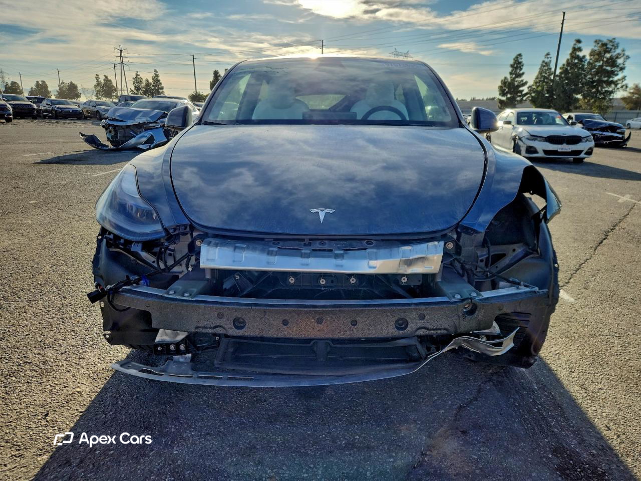 Tesla Model Y 2024