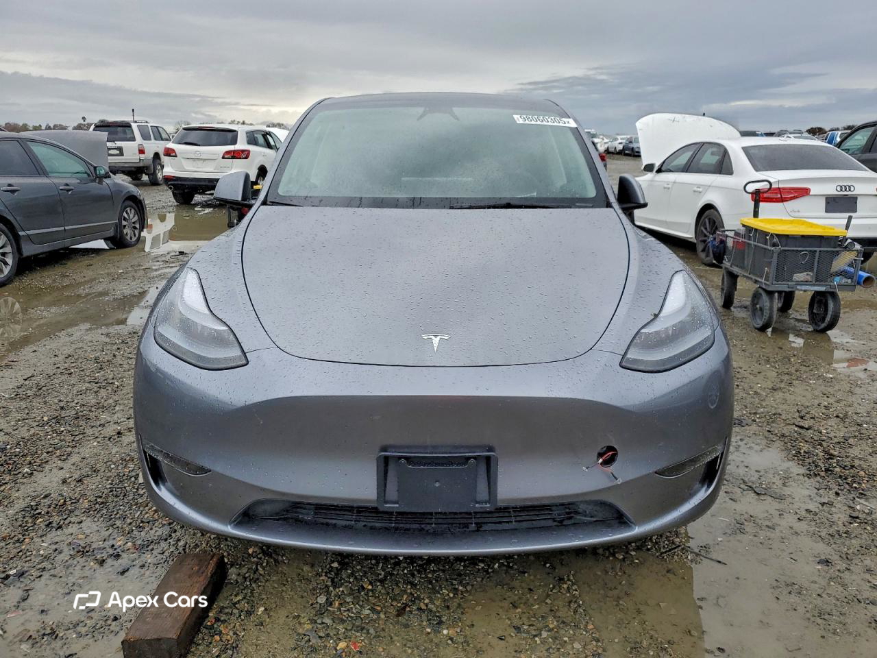 Tesla Model Y 2025