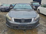 Honda Accord 2010