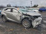 Lexus NX 2021