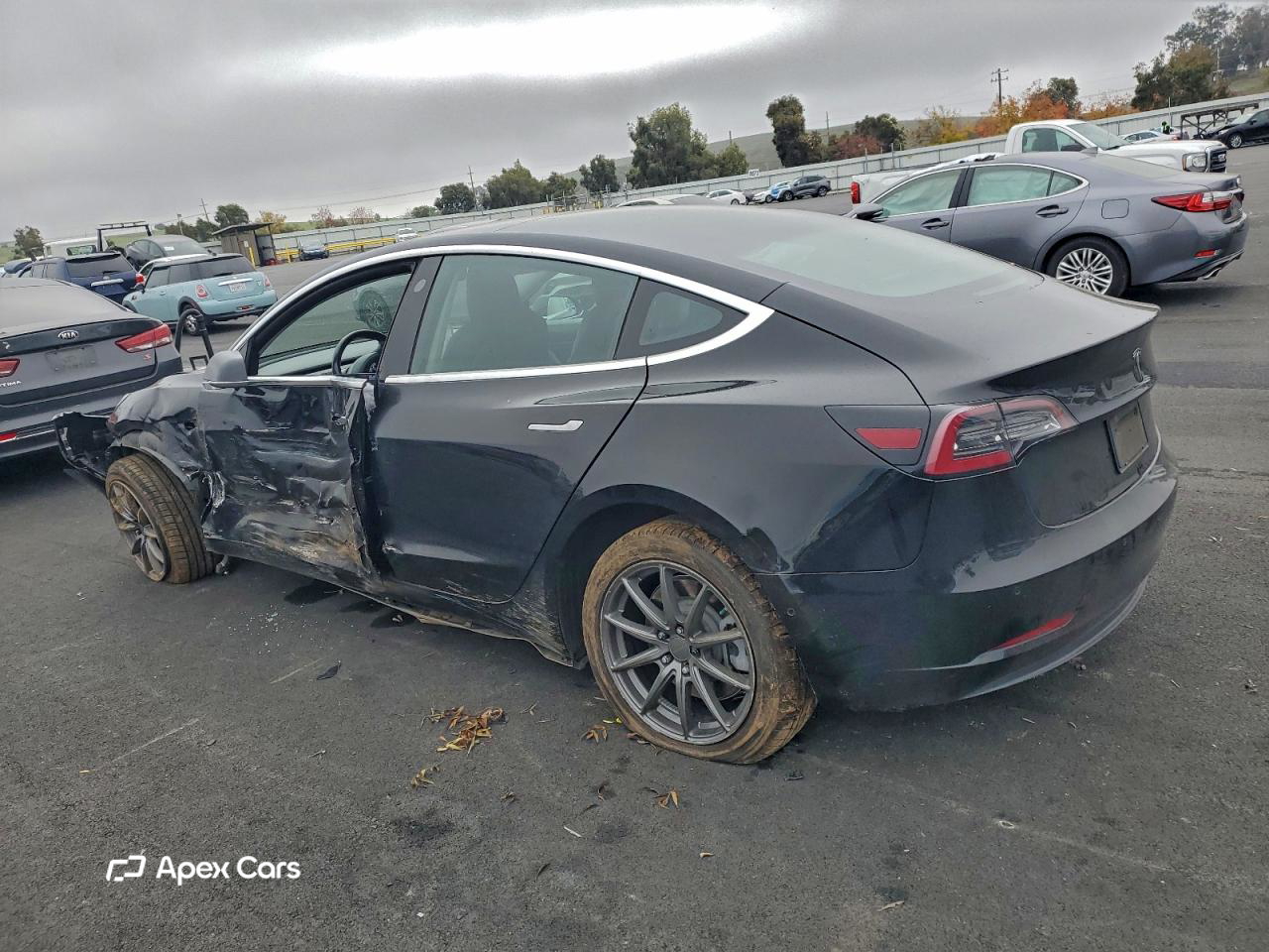 Tesla Model 3 2019