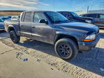 Dodge Dakota 2004