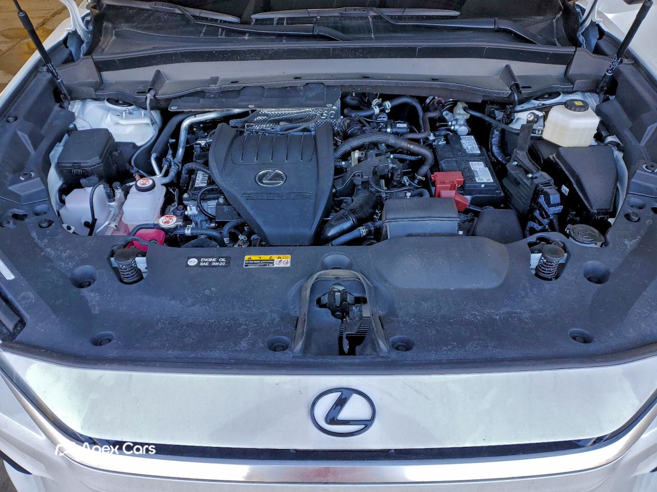 Lexus TX 2025