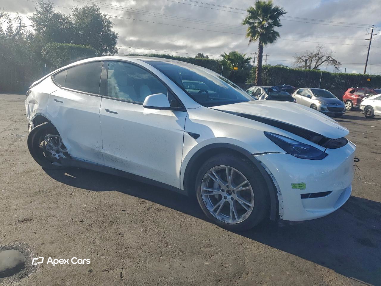 Tesla Model Y 2023