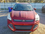 Ford Escape 2015