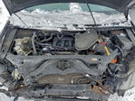 Ford Edge 2009