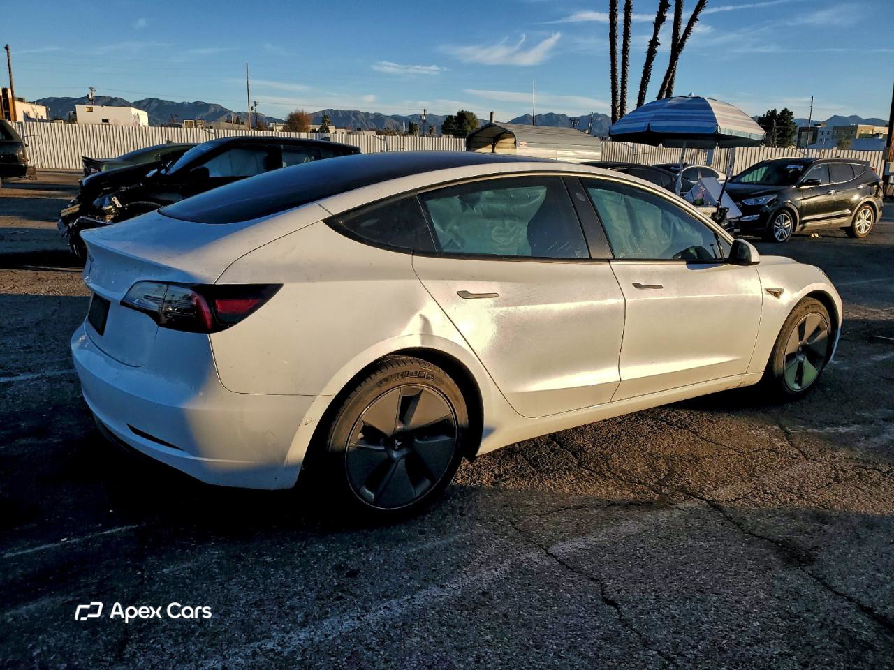 Tesla Model 3 2021