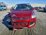 Ford Escape 2014