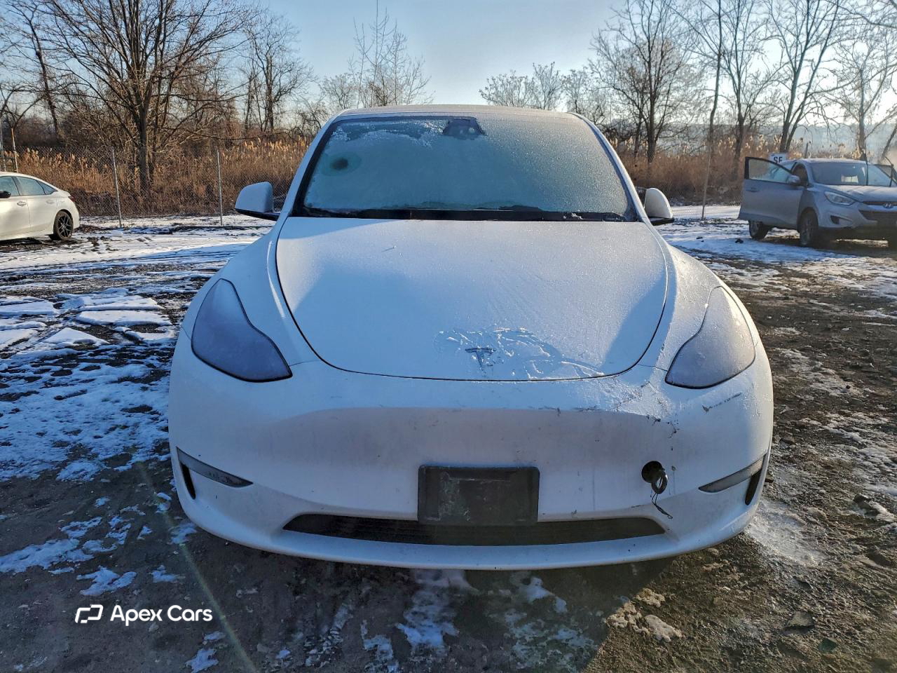 Tesla Model Y 2024
