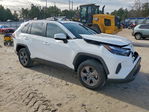 Toyota RAV 4 2024