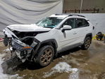Toyota RAV 4 2023