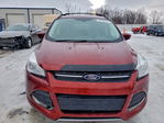 Ford Escape 2014
