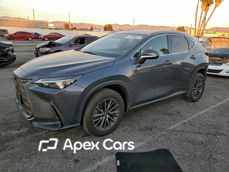 Lexus NX 2024 - Image 1 of 14