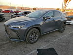 Lexus NX 2024
