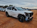 Toyota RAV 4 2024