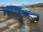 Ford Escape 2014