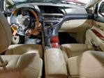 Lexus RX 2010