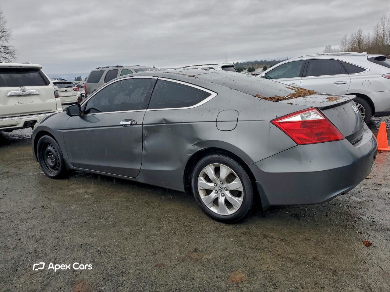 Honda Accord 2010