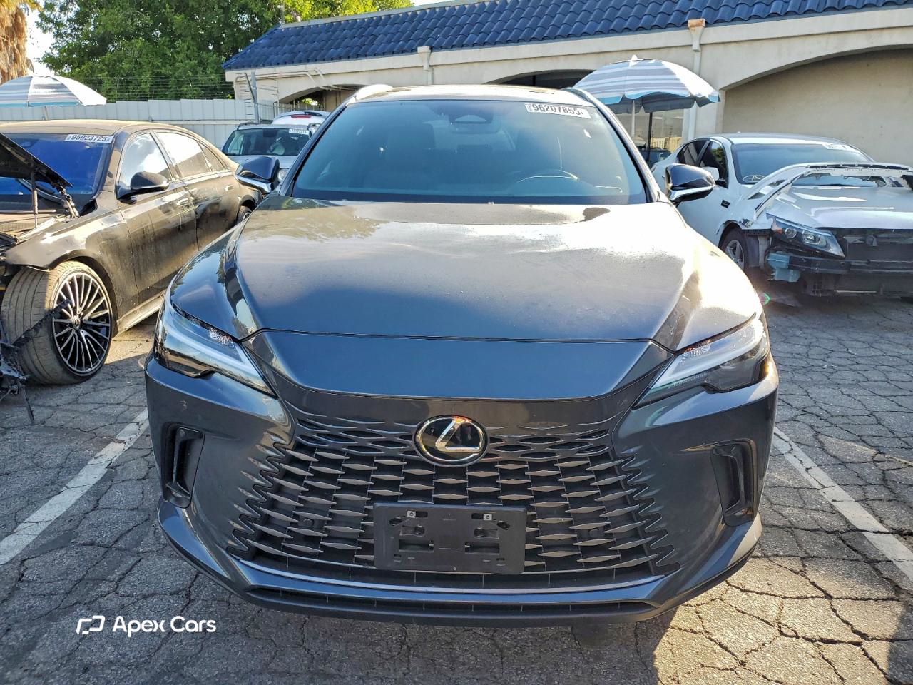 Lexus RX 2025