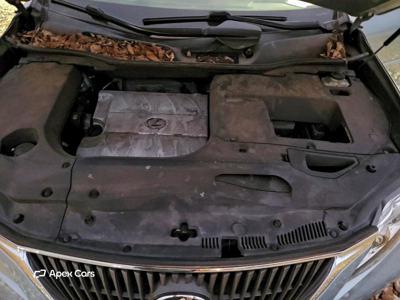 Lexus RX 2011