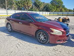 Nissan Maxima 2013
