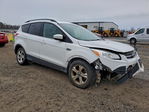 Ford Escape 2016
